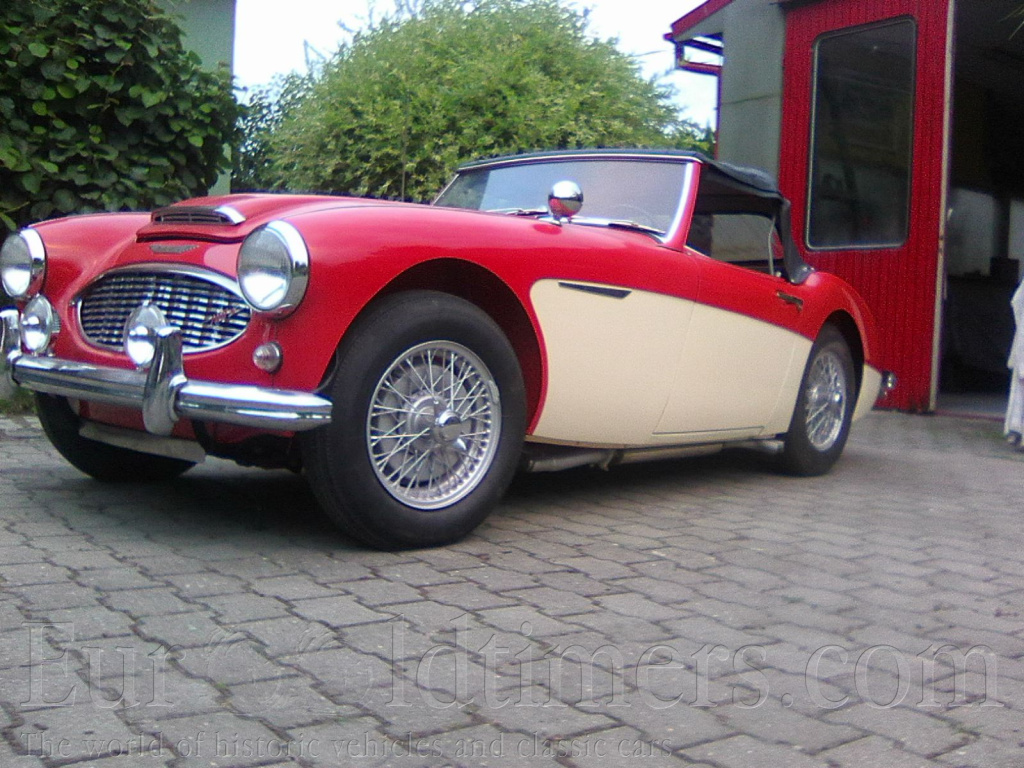 Austin Healey 100/6