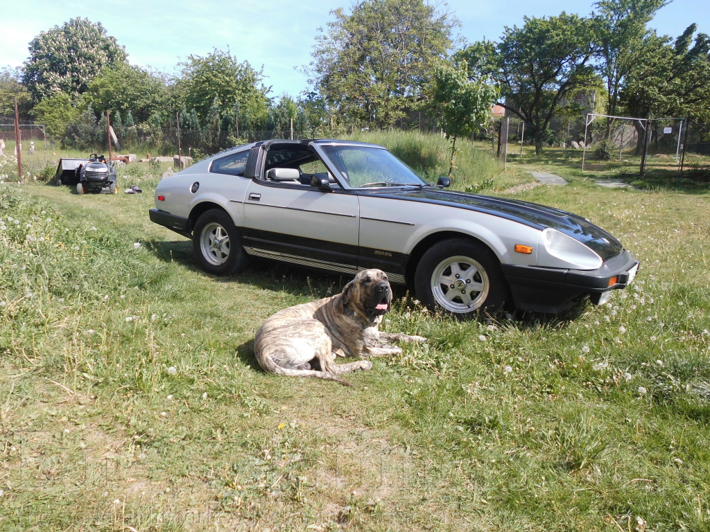 DATSUN 280 ZX Targa