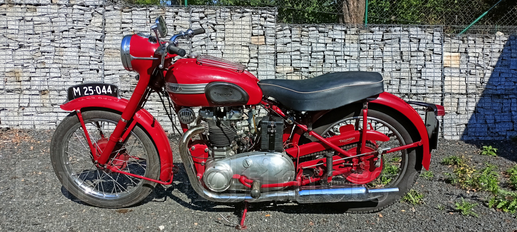 Triump Speed Twin