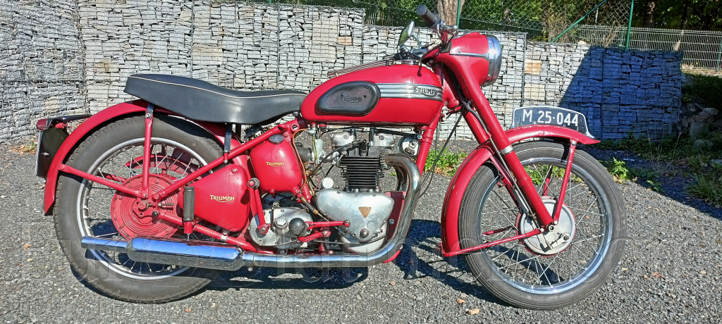 Triump Speed Twin