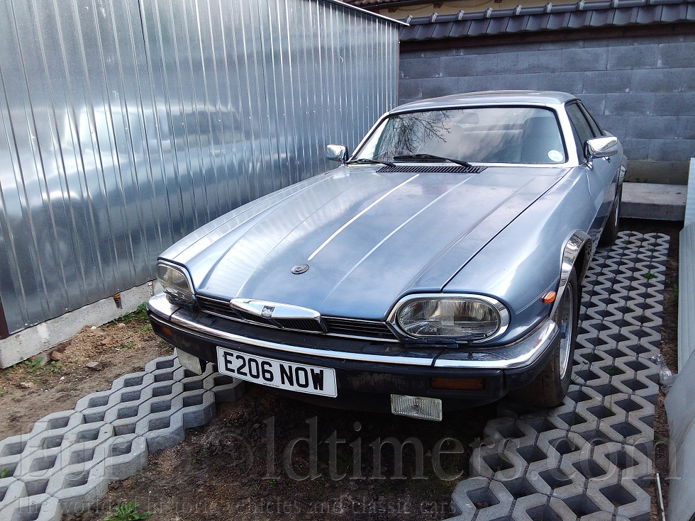 Jaguar xjs V12