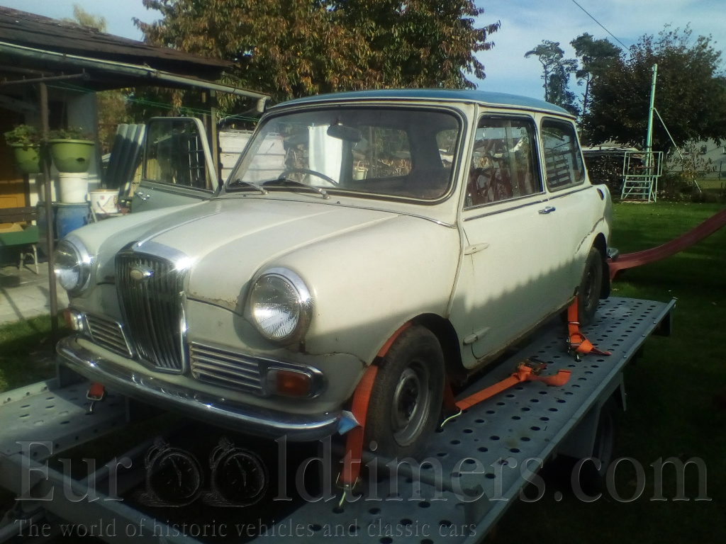 Wolseley Hornet Austin mini 