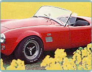 (1965-67) AC Cobra 427 (6989ccm)