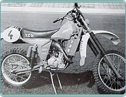 (1984) Jawa 125 (ISDT) terénní závodní