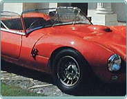 (1965) Ginetta G5 (1498ccm)