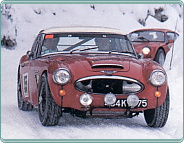 (1964) Austin Healey 3000 Mk III Rallye