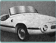 (1957) Brütsch Bussard