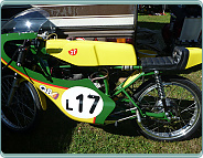 (1974) Minarelli 50 (racer)