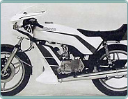 (1976) MotoBi 250ccm