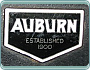 (1929) Auburn 120 Sedan